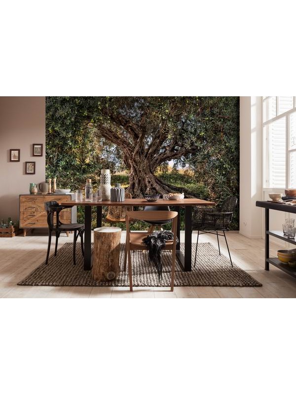 Wallpaper - Olive Tree - Size: 368 X 254 cm